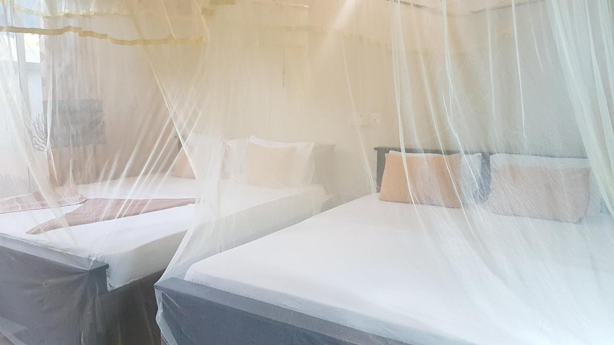 Pinki Nest Otel Mirissa Dış mekan fotoğraf