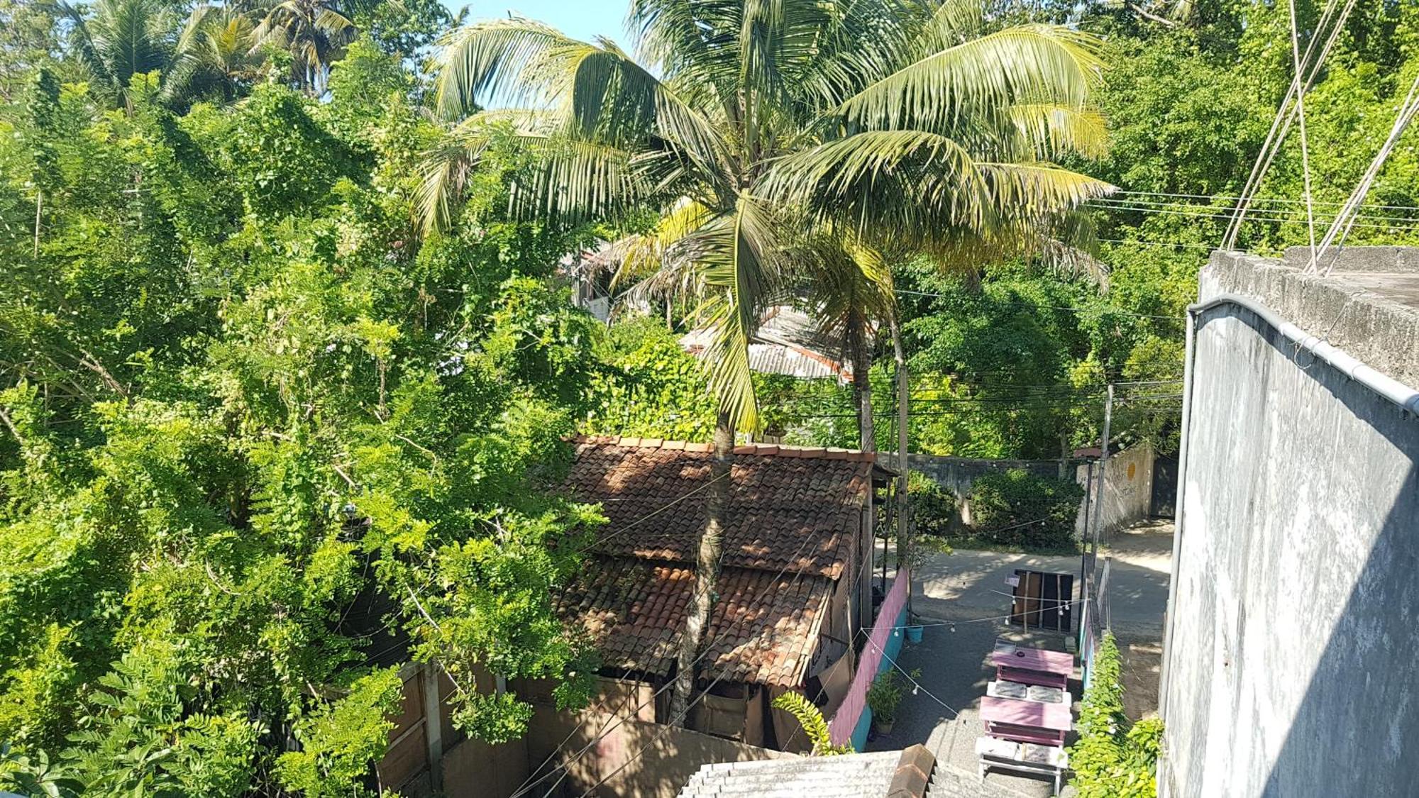 Pinki Nest Otel Mirissa Dış mekan fotoğraf